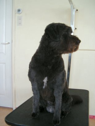 en na de behandeling